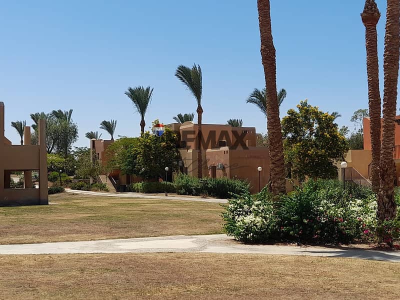 11 6425c276-37f7-4d69-8a70-28e136c12bee. jpg