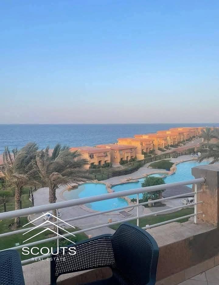 484952380_122117282240723003_7117123430464230772_n. jpg