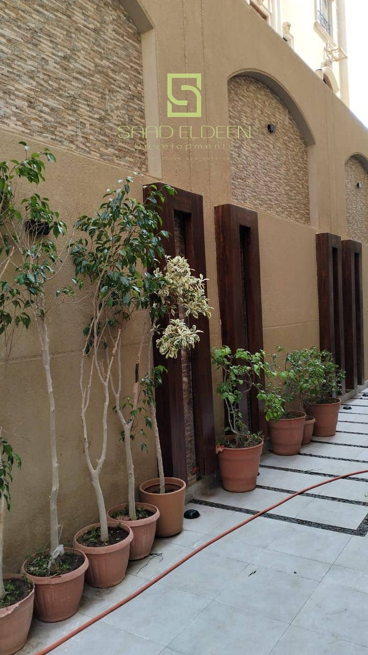 3 1623f75f-5d3e-41d0-8c95-5c0e1cca743d. jpg