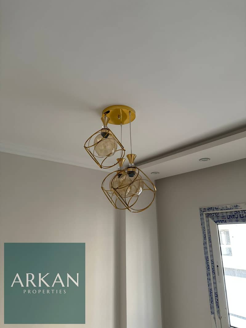 4 72ec9cf4-95aa-4b7d-b53a-e794e85f4569. jpg