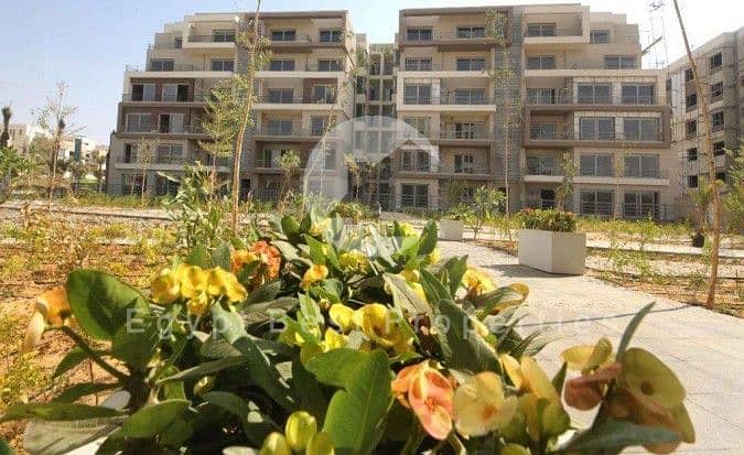 7 577840341_25314661691504275_5559556947108745422_n. jpg