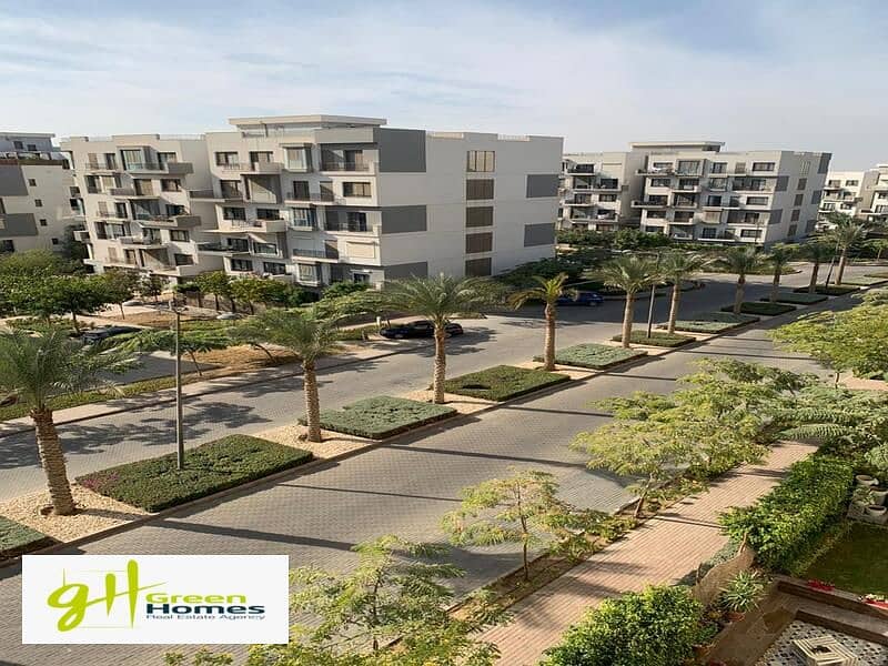 8 WhatsApp Image 2024-02-19 at 2.48. 46 PM (1). jpeg