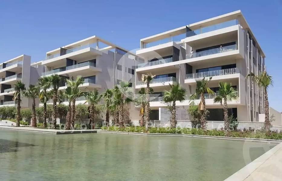 3 photo_5866374480060419409_y. jpg