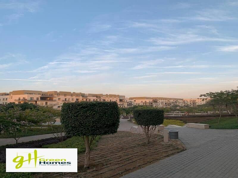 10 WhatsApp Image 2024-02-19 at 2.48. 38 PM (1). jpeg