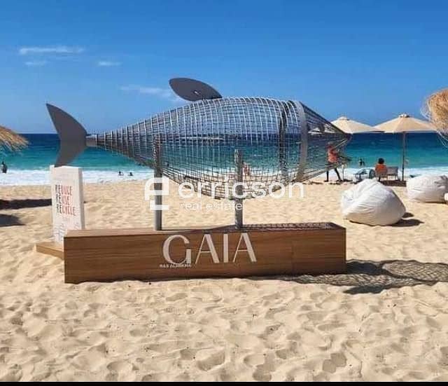 5 581167061_24824807533882811_4545812684415494052_n. jpg