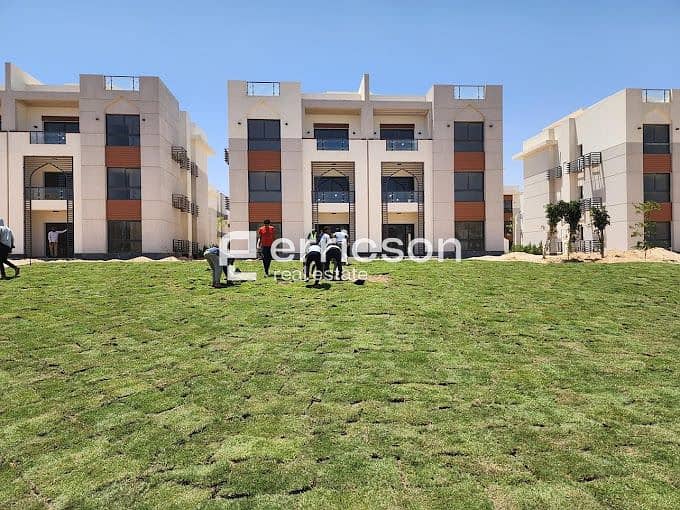 19 2023-06-19 (4). jpg