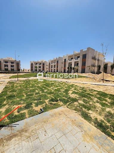 20 2023-06-19 (6). jpg