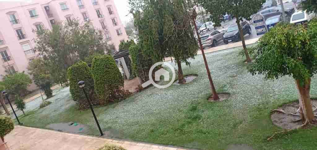 1000356482. jpg 1000356482. jpg