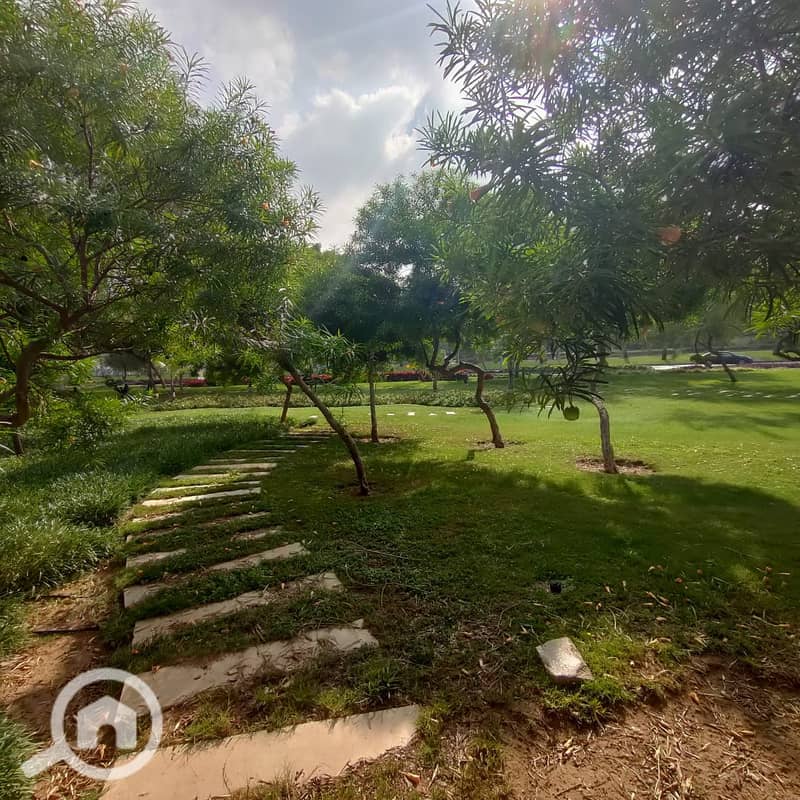 4 c1338f05-def9-4a5e-a223-2d041399e7ef. jpg