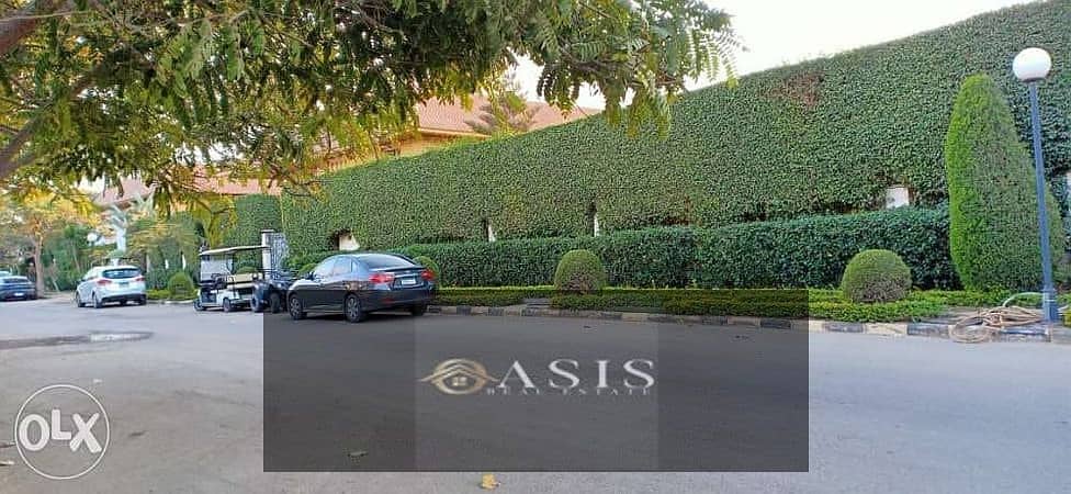 9 9078859-600x450. jpeg