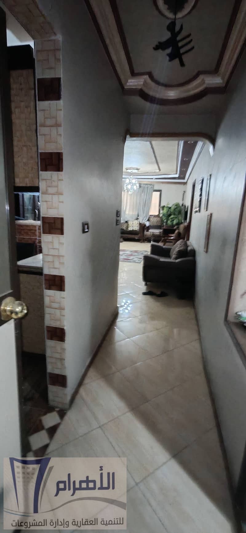 7 592382567_1155789870032546_3171553884955590993_n. jpg