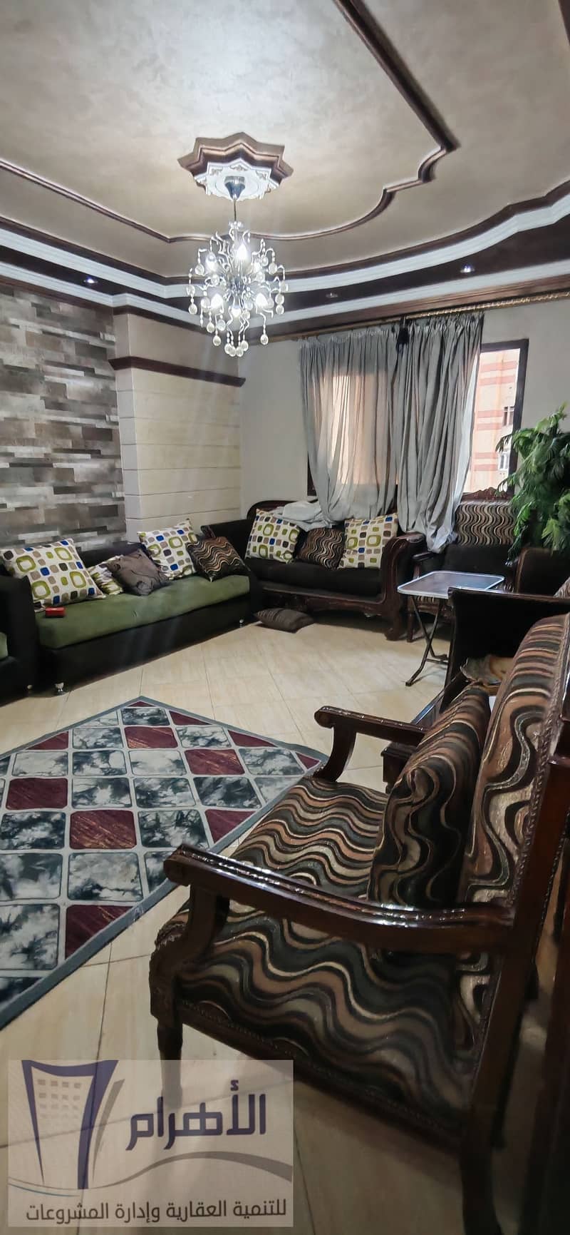 8 591912241_1155788796699320_1413679576595791806_n. jpg