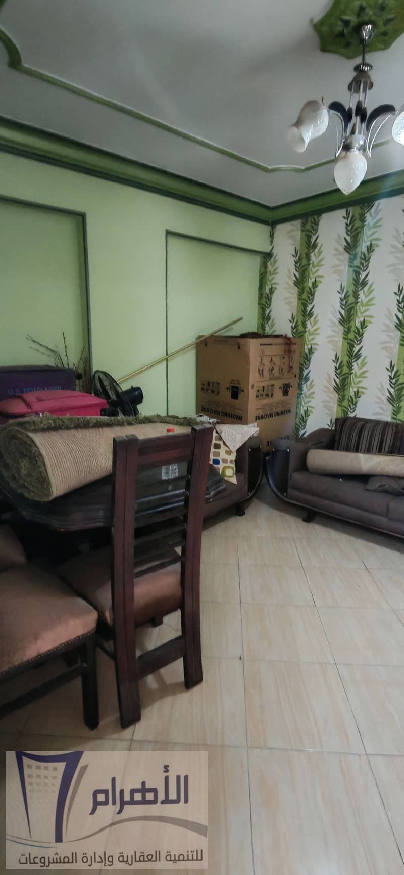 11 593166335_1155789990032534_4978672701378896550_n. jpg