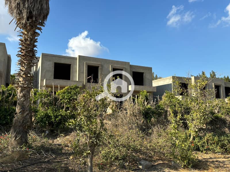 6 WhatsApp Image 2025-09-15 at 12.22. 29_7367eada. jpg