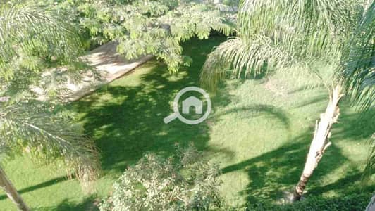 4 Bedroom Apartment for Sale in Madinaty, Cairo - 1000156021. jpg