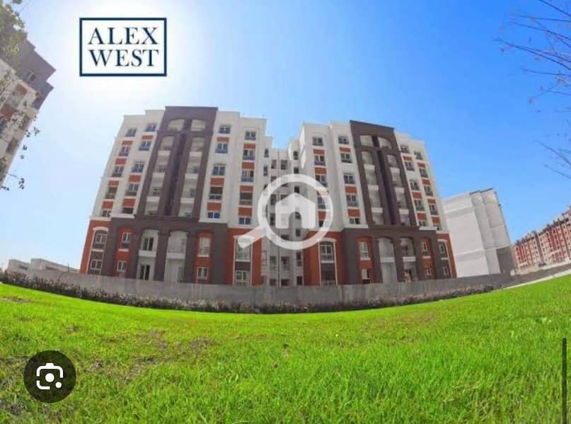 15 IMG-20250807-WA0088. jpg