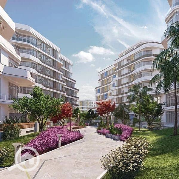 7 page-6-image-6 (1). jpg