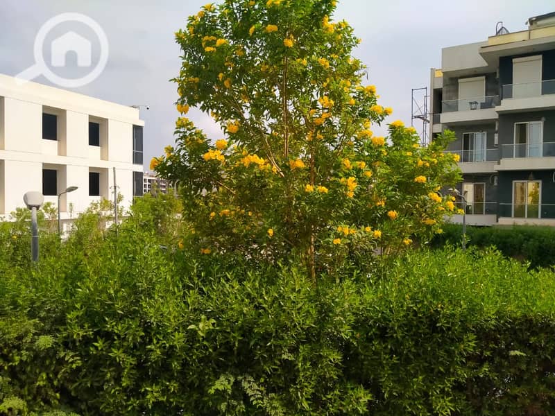 2 f6188ef5-a4ba-444d-9ea5-a899d1bc67d6. jpg