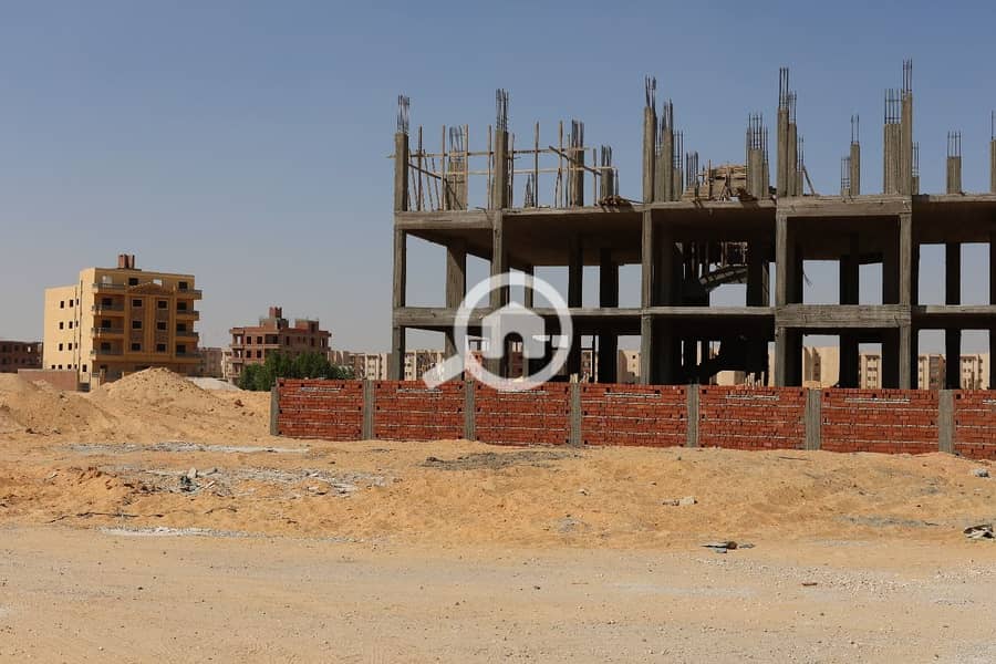 15 WhatsApp Image 2025-11-27 at 11.43. 35_dd71dfe1. jpg