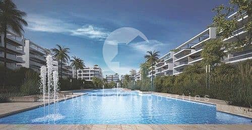 12 medium_FWq2evd9Z036HK8znsPDUHo4dh4tcc. jpg