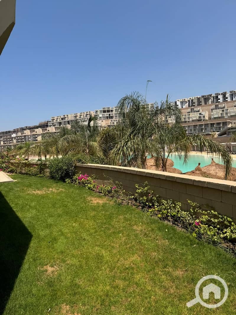 8 ilmont galala . jpg