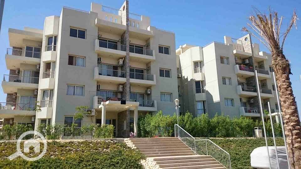 10 DSC_0023_resized_20170424_012957968. JPG