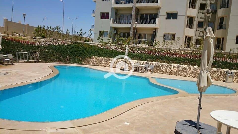 12 DSC_0057_resized_20170424_012946577. JPG