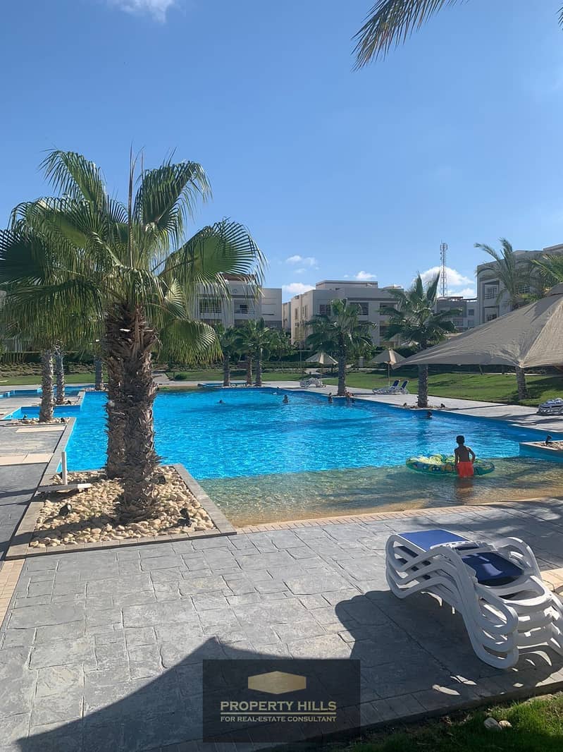 7 bf1cb320-b2d2-41df-9442-b947f864bfee. jpg