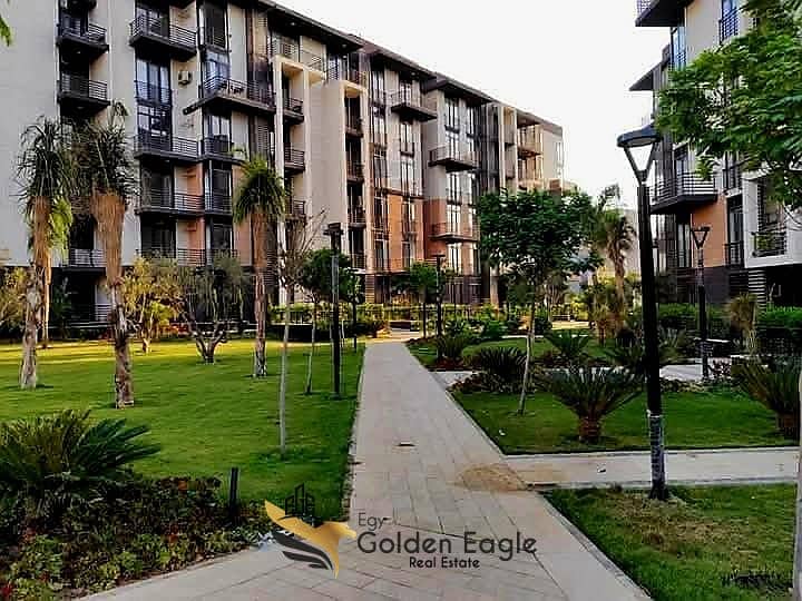 2 7a5dd7ae-88ce-40fa-9a1e-c5dd559fe15f. jpg