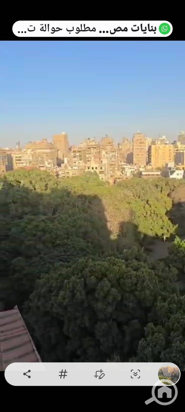 WhatsApp Image 2025-12-02 at 15.46. 11. jpeg