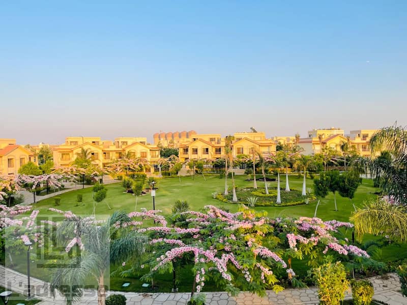 IMG-20251102-WA0147. jpg IMG-20251102-WA0147. jpg