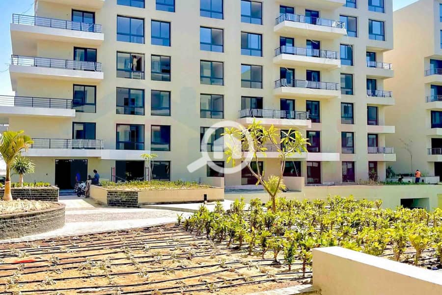 5 IMG-20251027-WA0005. jpg