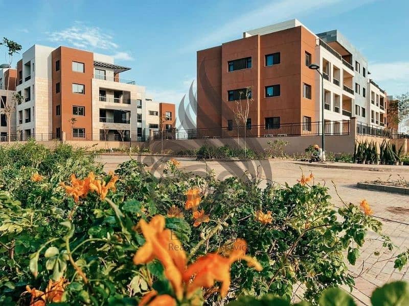 11 VlqcoU3eTpmfdhQB. jpg