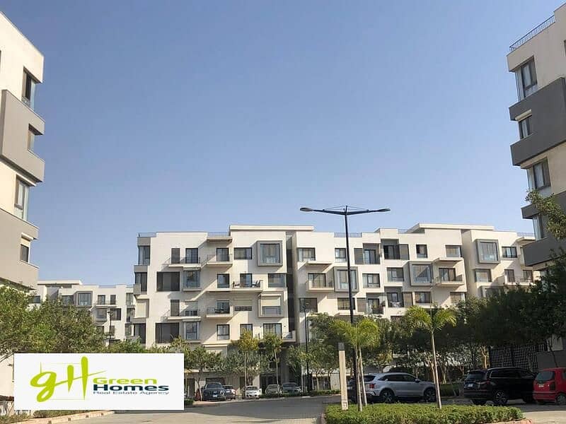 4 WhatsApp Image 2024-08-18 at 2.29. 52 PM (1). jpeg