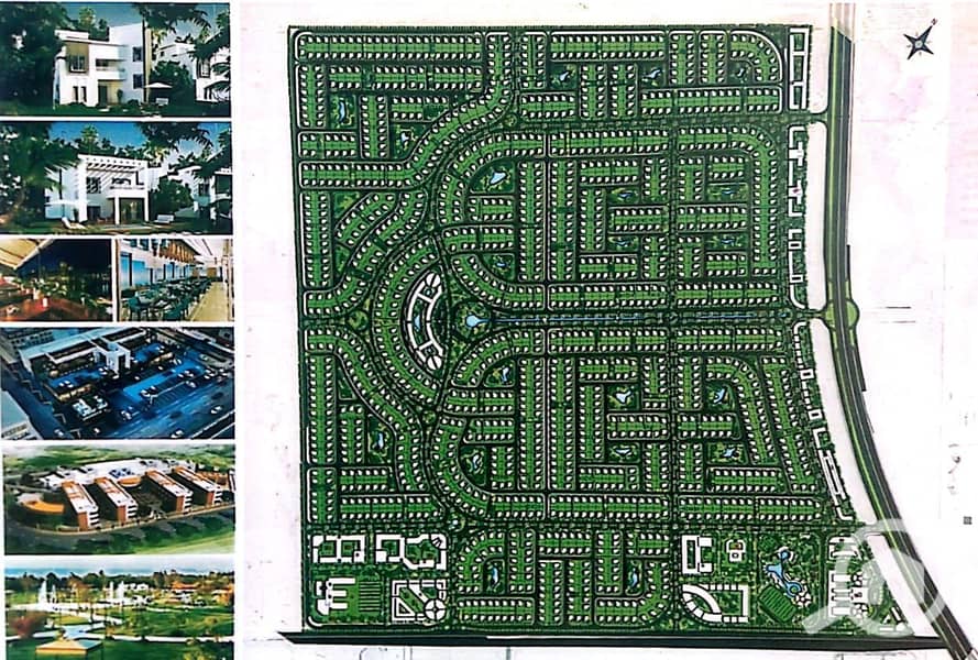 4 WhatsApp Image 2025-02-18 at 3.54. 53 PM. jpeg