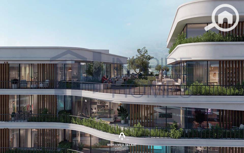 22 The One Fact Sheet-13. jpg