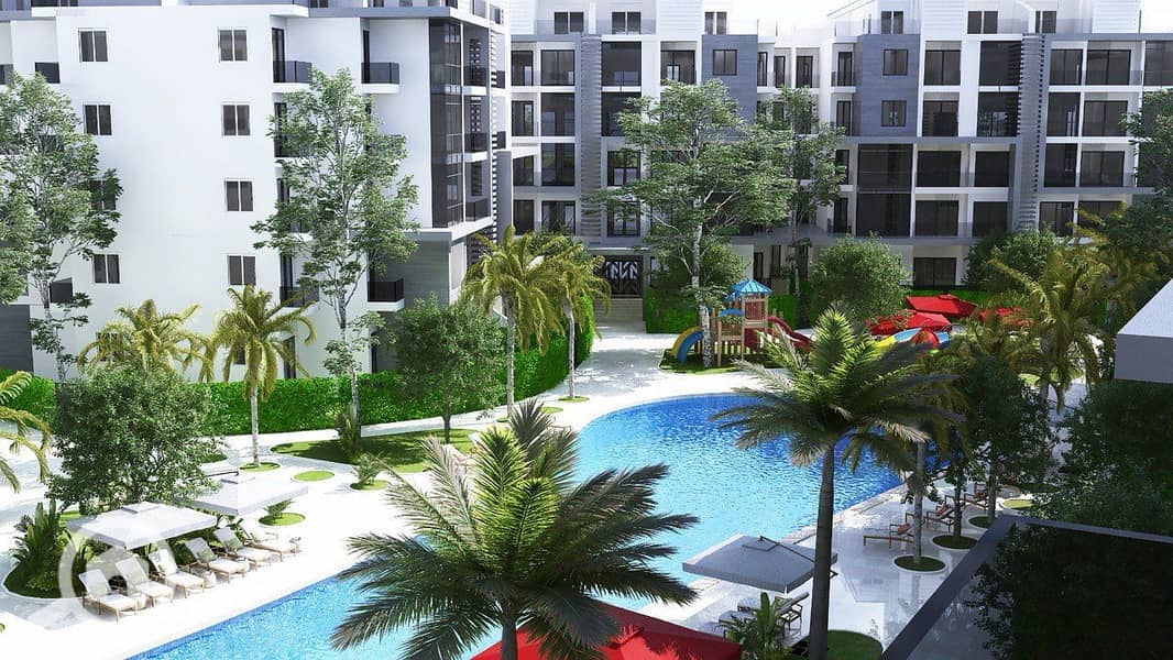 3 WHITE  ZAYED (3). jpg