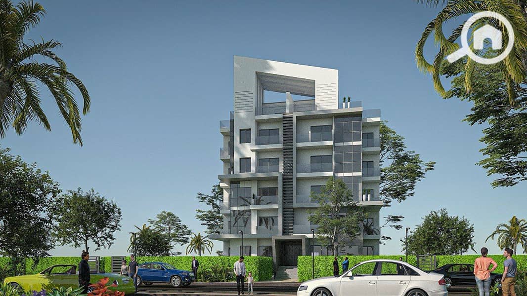 6 WHITE  ZAYED (7). jpg