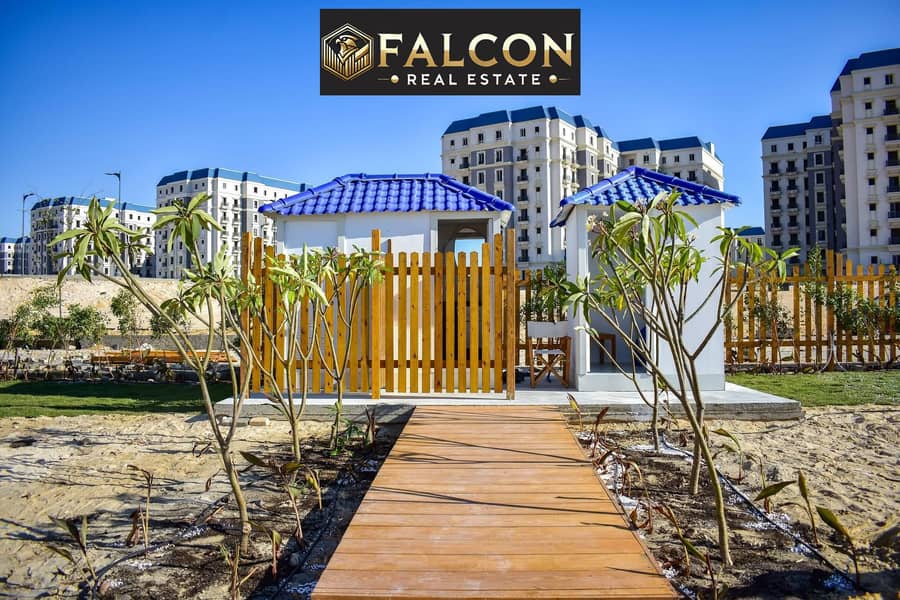 5 WhatsApp Image 2025-08-14 at 16.16. 50_7b68ac64. jpg