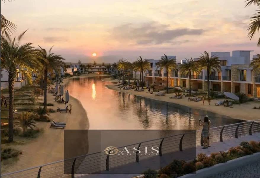 10 8305006-a313bo. jpg