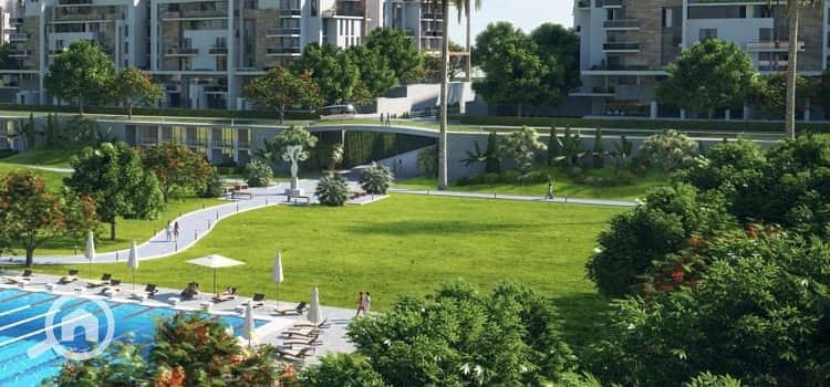 8 mountain view5. jpg