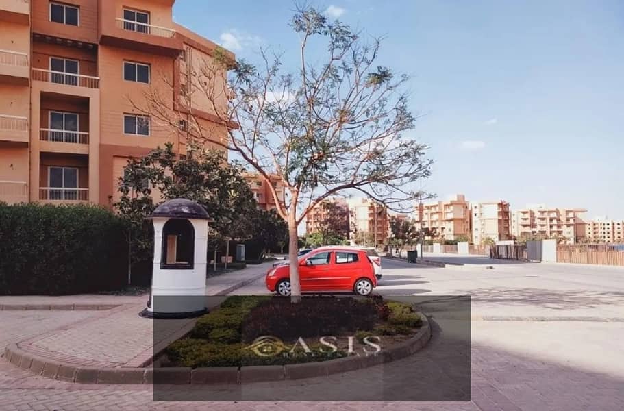 3 8285503-ffdfao. jpg