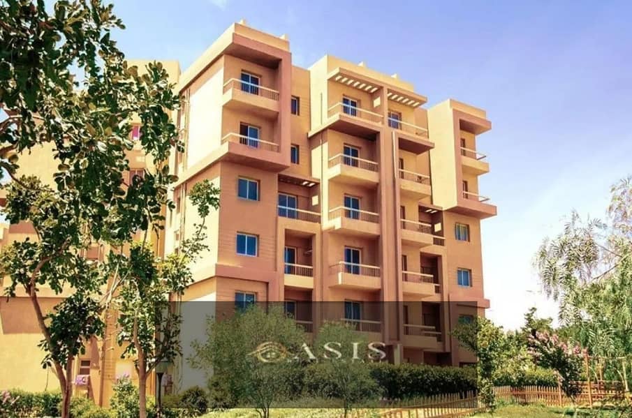 6 8285503-c24edo. jpg