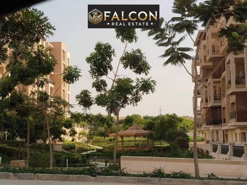 10 WhatsApp Image 2024-04-19 at 18.27. 20_e537b54d. jpg