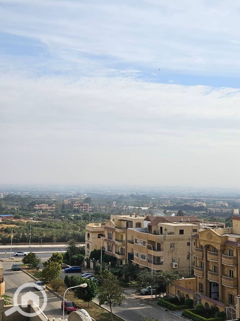 20251129_134239. jpg 20251129_134239. jpg