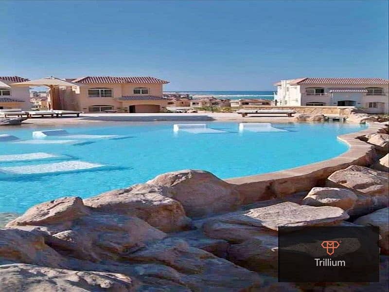 10 WhatsApp Image 2024-02-14 at 14.16. 01_aa12c430 (1). jpg