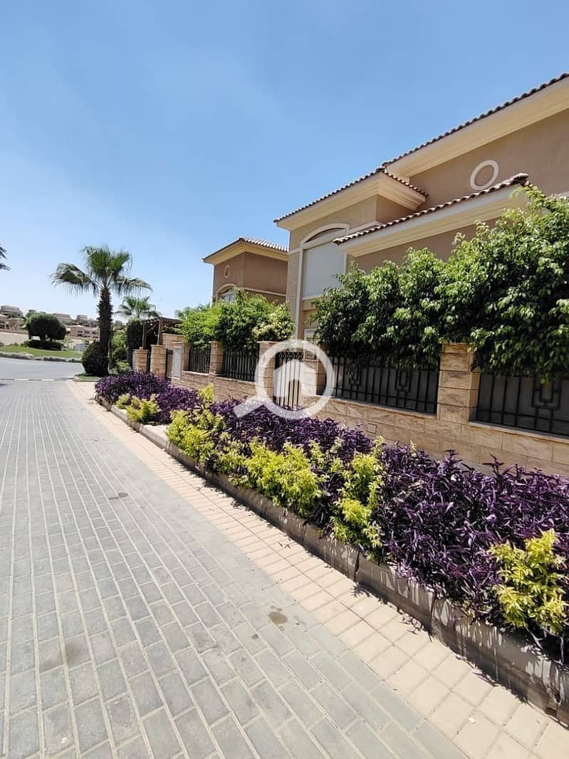 2 photo_2025-07-17_11-50-02. jpg