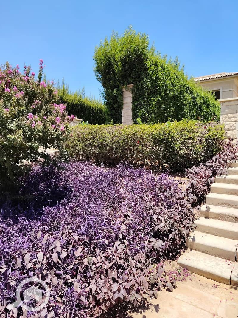 10 photo_2025-07-17_11-42-14. jpg