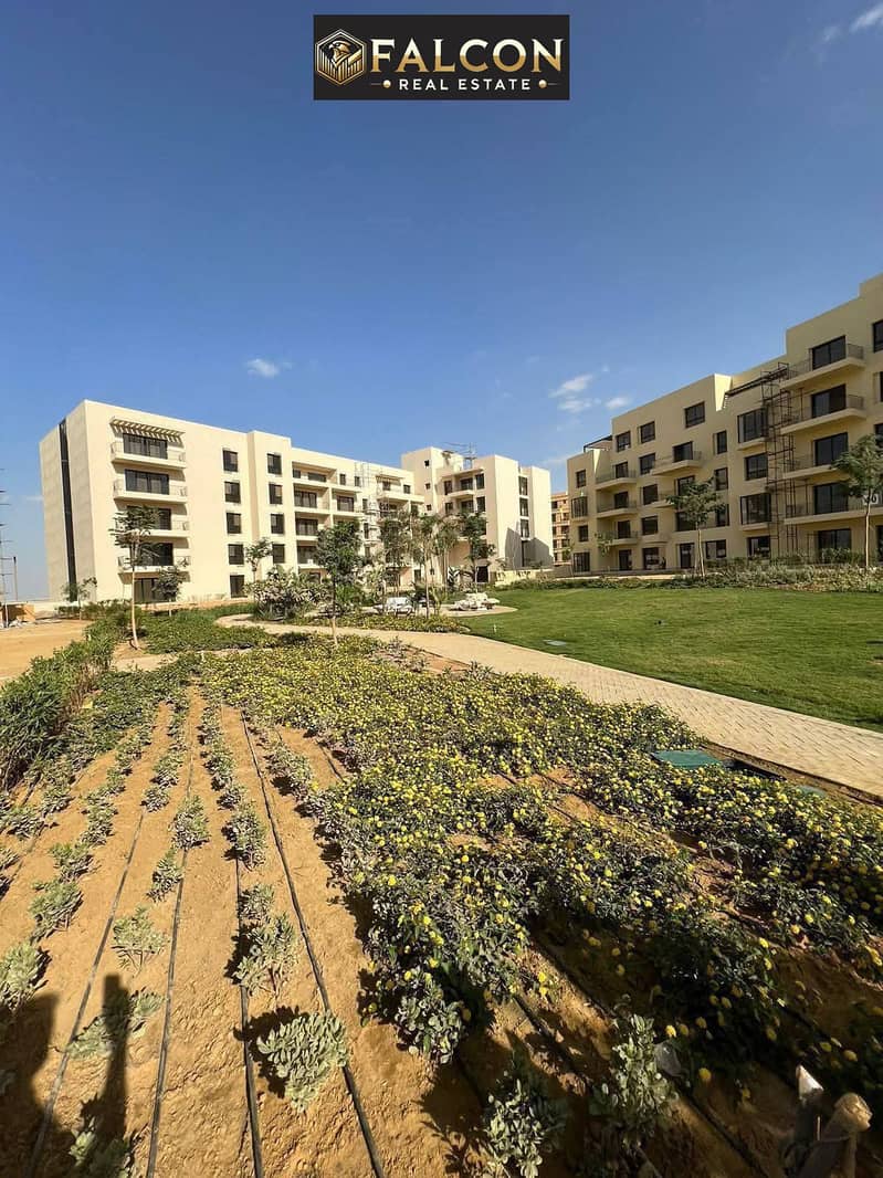 4 550741234_122147061854873365_6314725868043619233_n. jpg