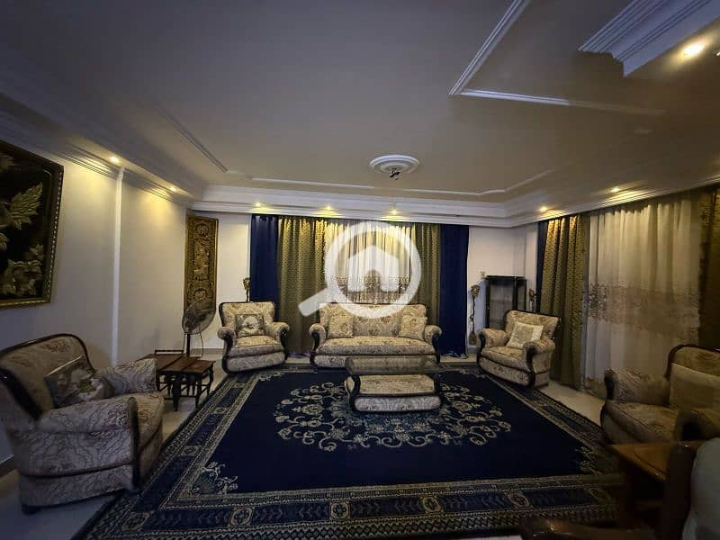 Nasr city Azab Nasr city Azab